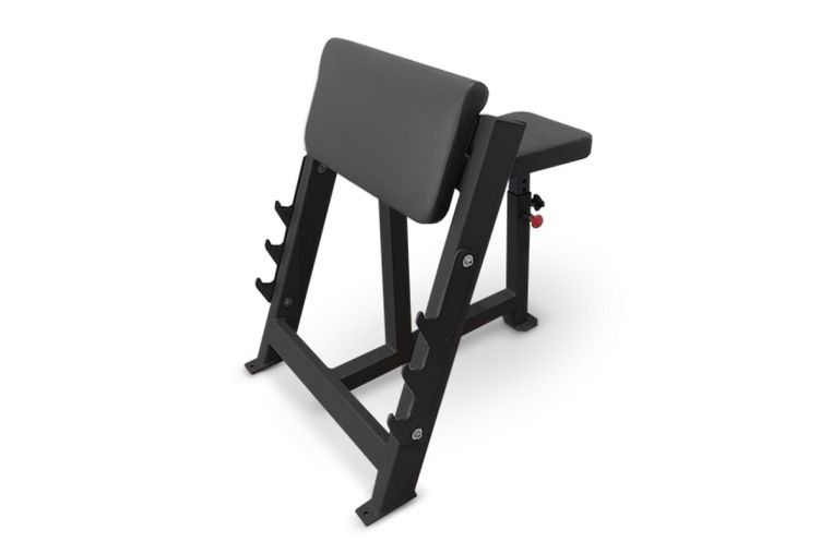 Скамья Скотта Bronze Gym AL-303 