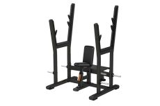 Олимпийская скамья для жима от плеч PRECOR Discovery Line DBR 507 серебристый