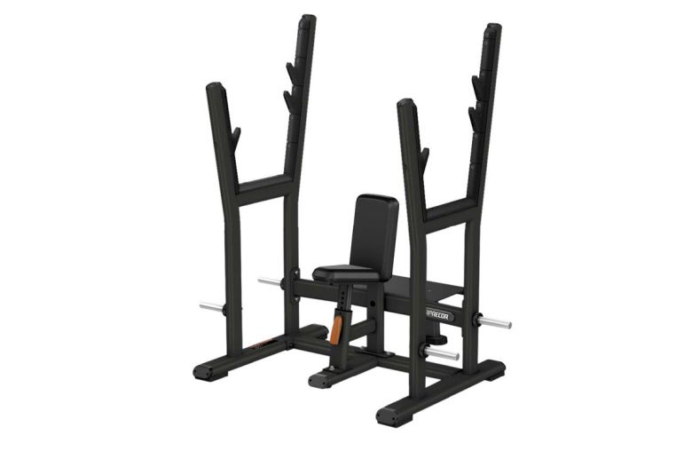 Олимпийская скамья для жима от плеч PRECOR Discovery Line DBR 507 серебристый 