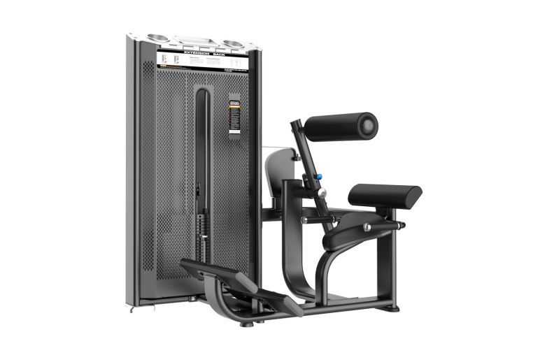 Разгибание спины (Back Extension) DHZ Kurtsyn Gym E-7031A 