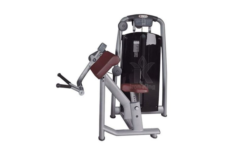Бицепс-машина Iron King IKL-1046 