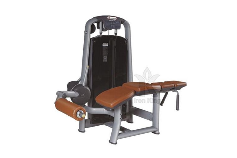 Сгибание ног лежа Iron King IKL-1044 