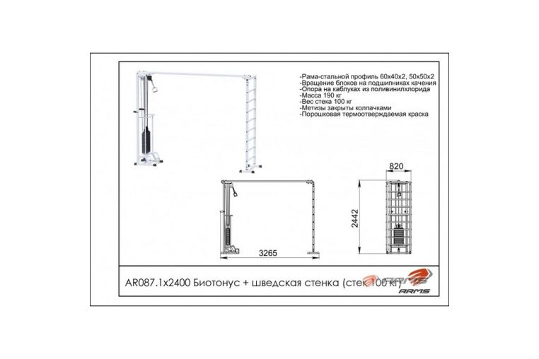 Биотонус (стек 100 кг) + шведская стенка ARMS AR087.1х2400 фото 1