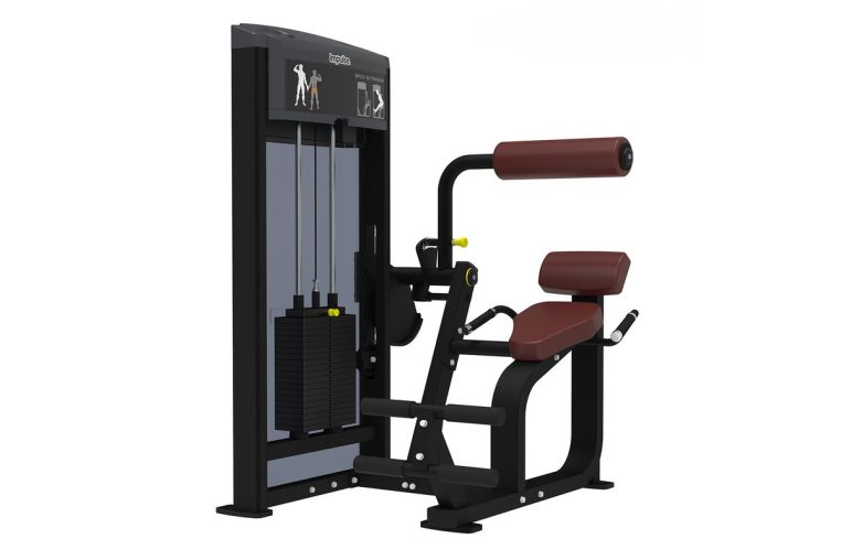 Разгибание спины Aerofit IF9332 