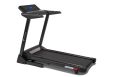 Беговая дорожка Titanium Masters TM Physiotech TCA фото 1