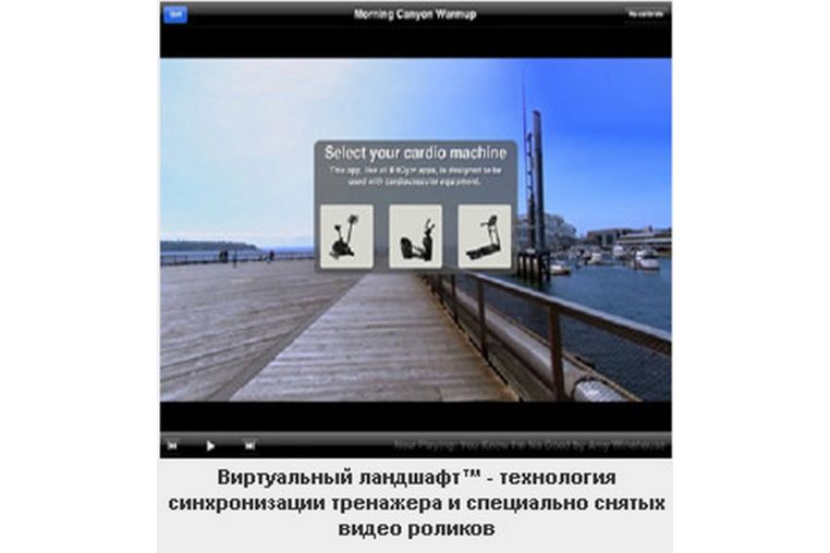 Беговая дорожка Matrix T1XE VA (2013) фото 6