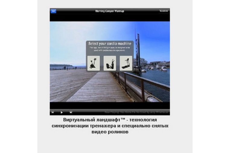 Беговая дорожка Matrix T7XE фото 12