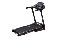 Беговая дорожка Royal Fitness RF-6