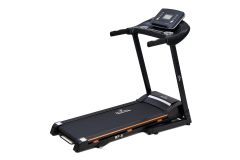 Беговая дорожка Royal Fitness RF-6