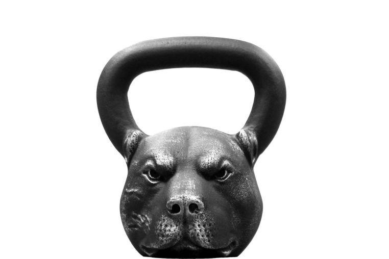 Гиря 16,0 кг Iron Head Питбуль 