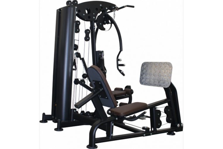 Мультистанция Smith Fitness F1 + Жим ногами F1LP фото 1