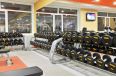 Гантели фиксированные обрезиненные 10 кг Foreman FM\ARD-10KG\BK-FL-00 пара фото 2