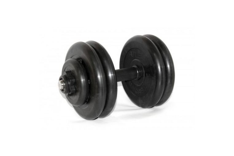 Гантель разборная MB Barbell 24 кг MB-FdbM-At24 