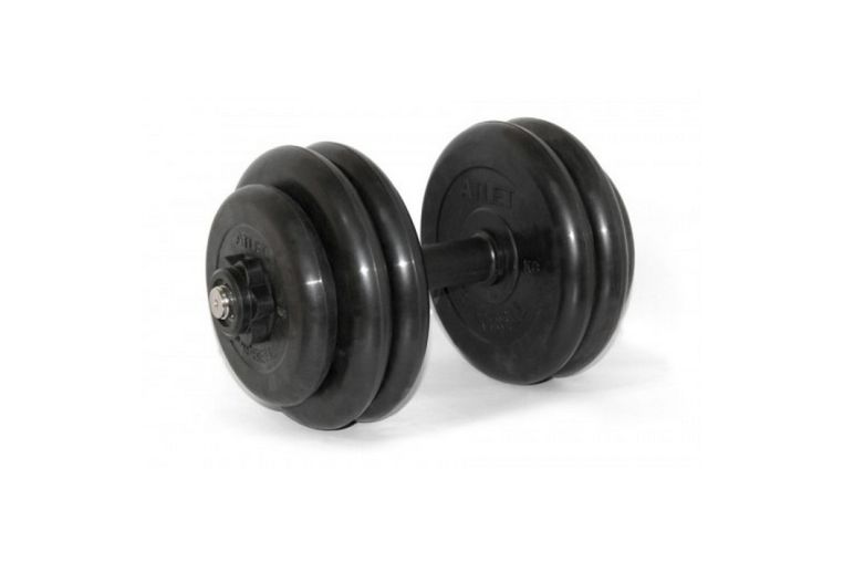 Гантель разборная MB Barbell 26,5 кг MB-FdbM-At26,5 