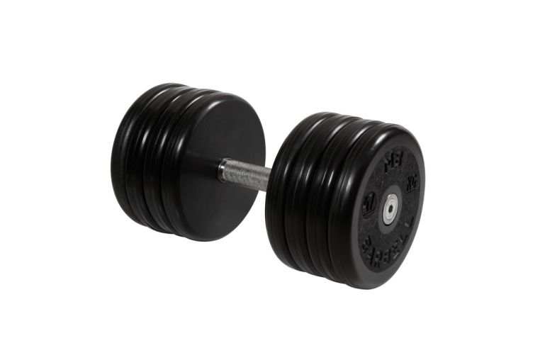 Гантель неразборная, классик, с невращ. хром. ручкой, 46 кг MB Barbell MB-FdbEM-BN46 