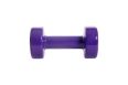 Гантель виниловая Core Star Fit DB-101 4 кг, фиолетовый, 2 шт фото 1