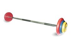 Штанга неразборная MB Barbell с цветными дисками D25мм, 17,5 кг MB-BarMW-C17,5