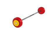 Штанга неразборная MB Barbell с цветными дисками, 25 мм, 27,5 кг MB-BarMW-C27,5