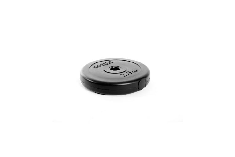 Диск пластиковый 2,5 кг, d26 мм BaseFit BB-203 черный 