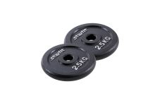 Диск чугунный 2,5 кг Star Fit d26 мм BB-204 черный, 2 шт
