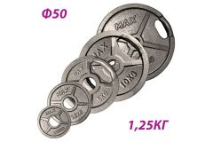 Блин крашеный Sportex Max d51 мм, 1,25 кг GBS14116 хамертон