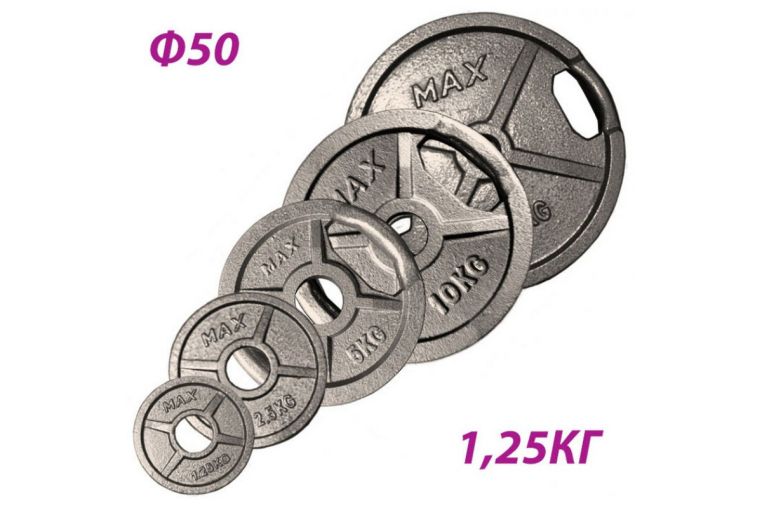 Блин крашеный Sportex Max d51 мм, 1,25 кг GBS14116 хамертон 