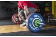 Диск бамперный Rogue D50мм цветной 10 LB фото 1