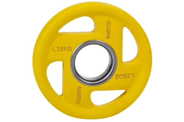 Диск обрезиненный Profi-Fit цветной Fassion D-51мм 1,25 кг 