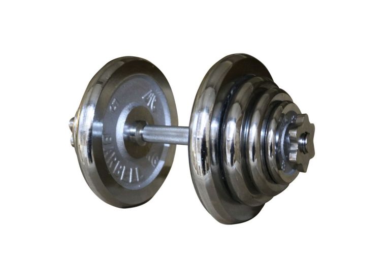 Диск хромированный d26мм DFC WP031-26-1,25 1,25кг, хром фото 3