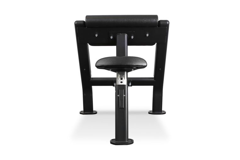 Скамья Скотта Bronze Gym BR-1007 фото 1