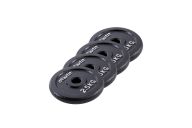 Диск чугунный 2,5 кг Star Fit d26 мм BB-204 черный, 4 шт