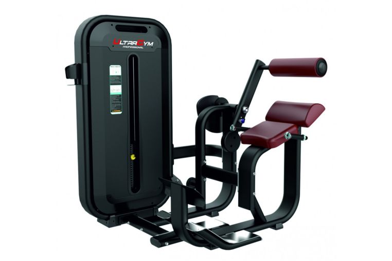 Разгибание спины UltraGym UG-IN 816 