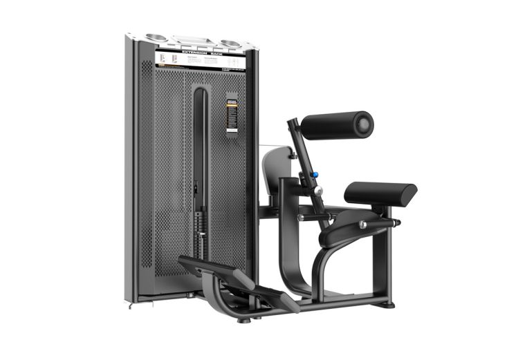 Разгибание спины (Back Extension) DHZ E-7031A 