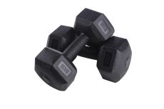 Набор из гексагональных гантелей 2х5кг (пластик/цемент) 10кг Sportex CPD-10