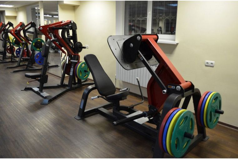 Жим ногами Aerofit SL7006 фото 1