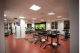 Римский стул/ ягодичные Aerofit SL7013 фото 1