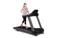 Беговая дорожка Spirit Fitness CT800 Graphite gray фото 2