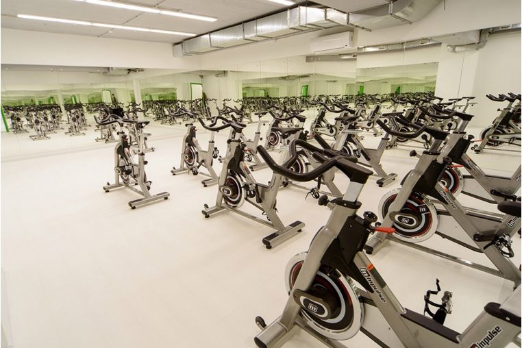 Сайкл Aerofit PS300E фото 5