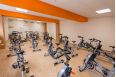 Сайкл Aerofit PS300E фото 7