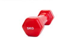 Гантель обрезиненная 5кг Bradex SF 0167 красный