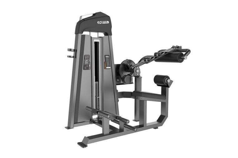 Пресс машина\Разгибание спины DHZ Abdominal Isolator & Back Extension.Стек 110 кг E-3088 
