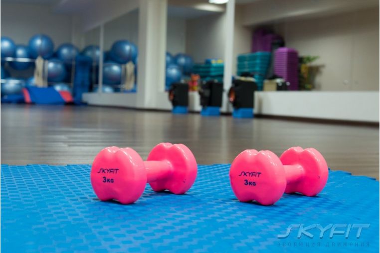 Гантель в виниловой оболочке 5 кг SkyFit SF-VD-5K красный (продаются только парой) фото 2