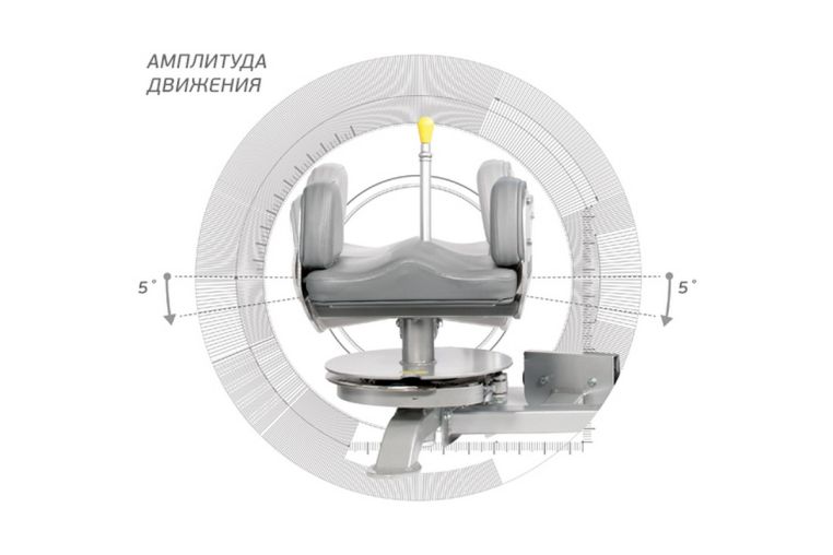 Вращение торса Hoist RS-1602 фото 9