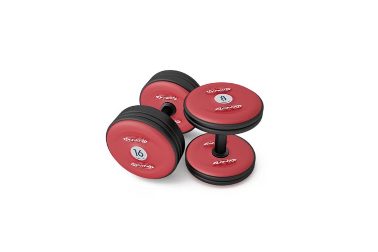 Гантель Panatta 50 кг 1MF50 