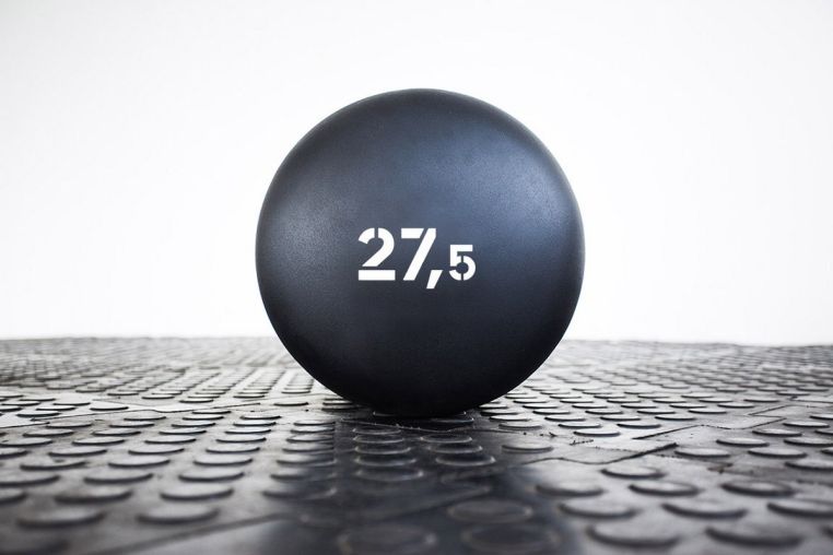 Гантель Stecter Strong, 27,5 кг 2387 фото 2