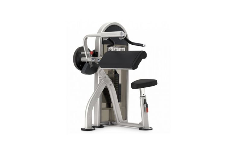 Тренажер комбинированный, бицепс / трицепс руки Nautilus CHF/9NL-D5120-29AGS 