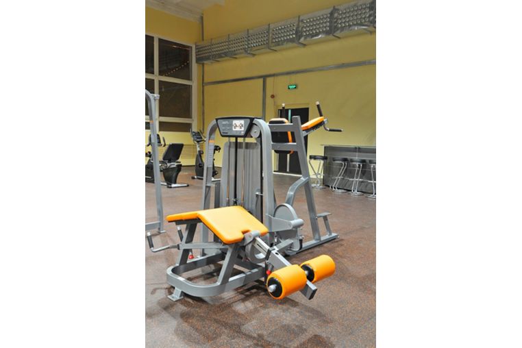 Сгибание ног лежа Foreman FS-103 фото 7