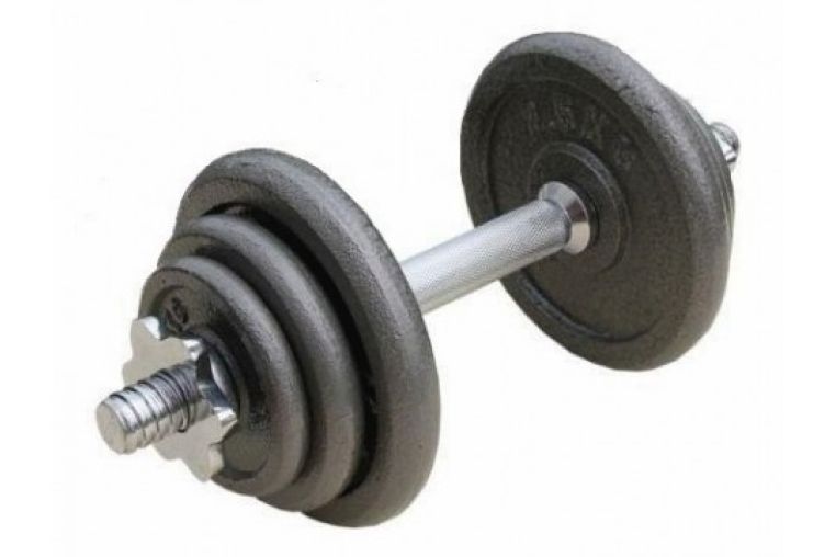 Гантель разборная MB Barbell металл, 25 кг 