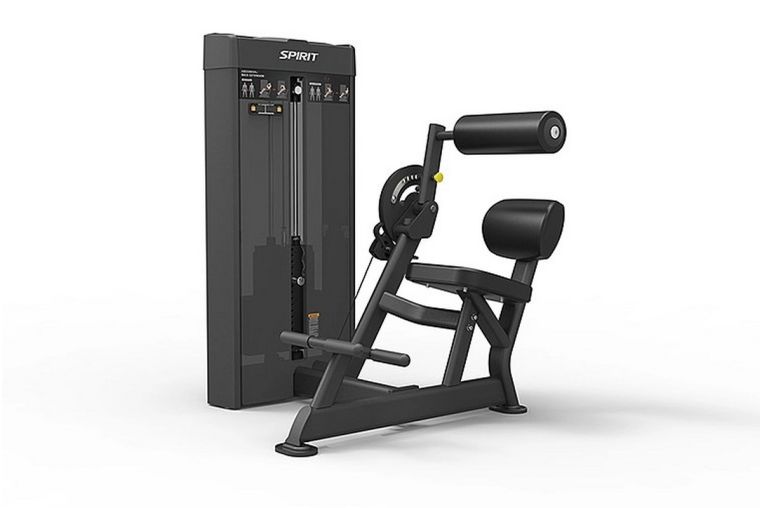 Пресс\разгибание спины Spirit Fitness SP-4609 