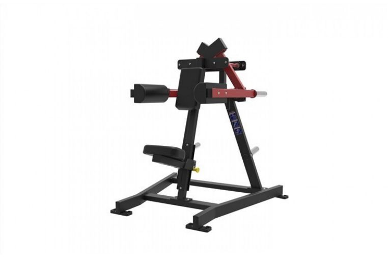 Дельтовидные мышцы UltraGym UG-XM 619 